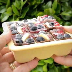 Baby Food and Breast Milk Freezer Tray - 9 Compartments