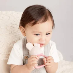 b.box Chill & Fill Teether