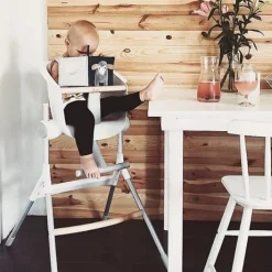 Beaba Up & Down Highchair