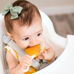 Boon Pulp Silicone Feeder 2pk