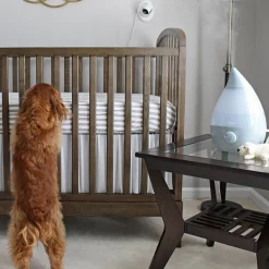 Crane Drop Cool Mist Humidifier - 3.75L