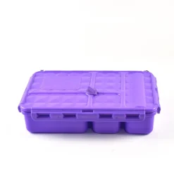 Go Green Lunchbox - Small