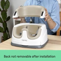 Ingenuity Baby Base 2-in-1 Seat