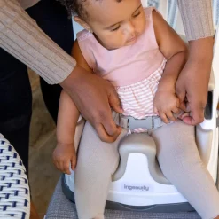 Ingenuity Baby Base 2-in-1 Seat