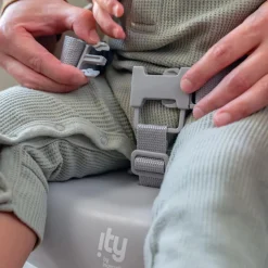 ity by Ingenuity My Spot Easy Clean Booster Seat