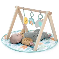 ity by Ingenuity Sun Valley Wooden Toy Arch & Play Mat
