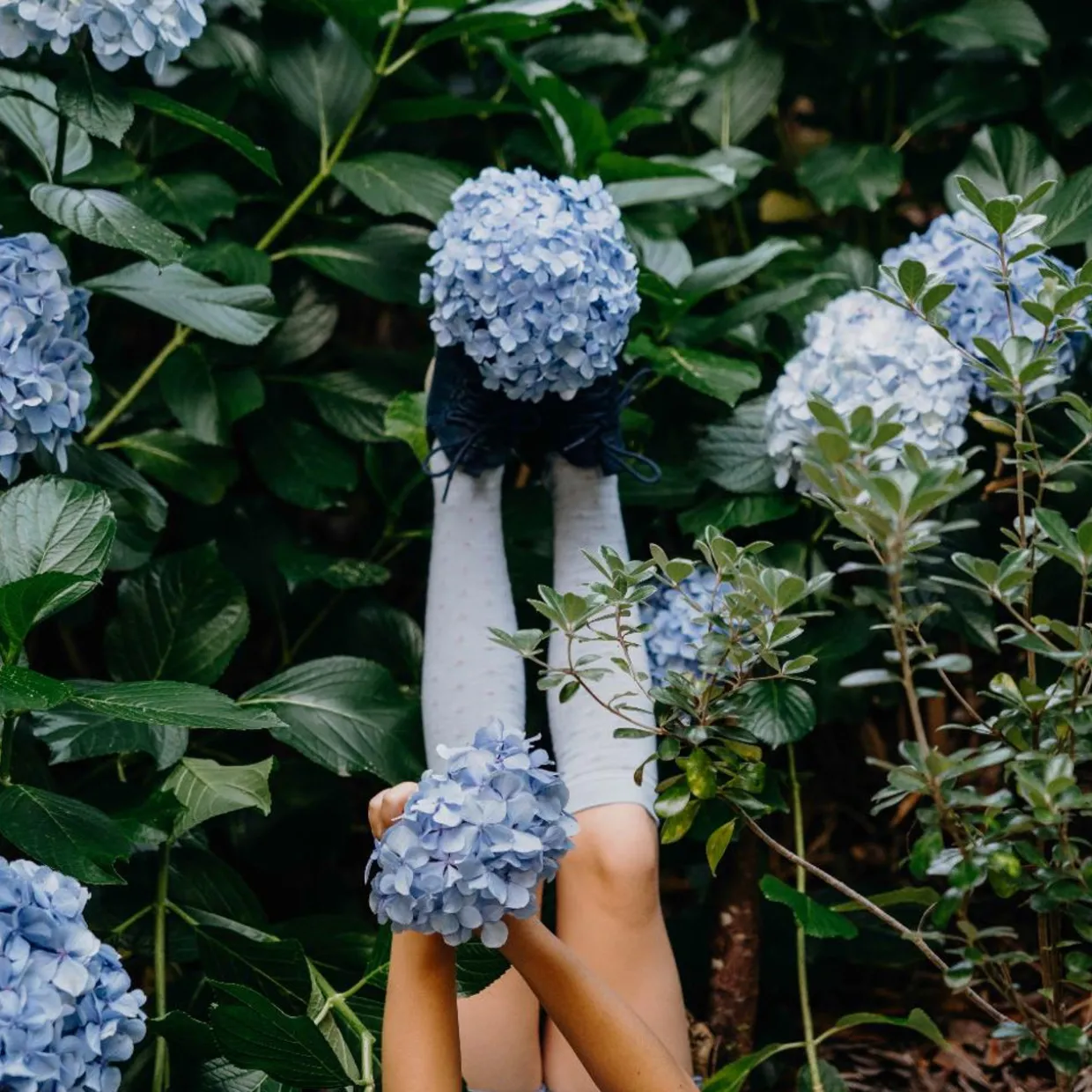 Lamington Kids Knee-High Merino Socks