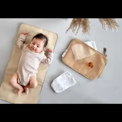 Lassig - Changing Organiser