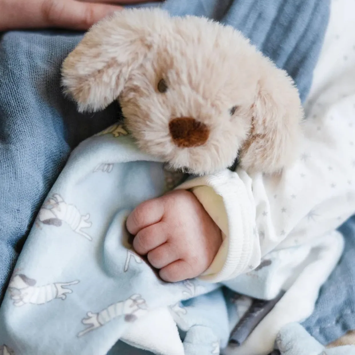 Little Linen Baby Lovie / Comforter