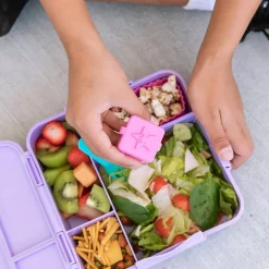 MontiiCo Bento Dip & Sauce Box