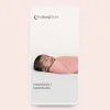 Newborn Series - Swaddling Digital Mini eBook (NZ)