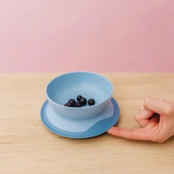 OXO Tot Stick & Stay Suction Bowl