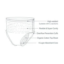 Postpartum & Maternity Disposable Underwear 10-pack