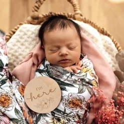 Snuggle Hunny Wooden Milestone Cards