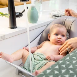 Summer by Ingenuity Foldaway 2-Position Bather