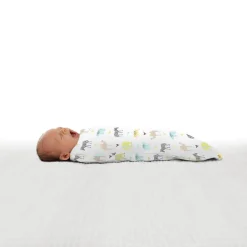Summer Infant SwaddleMe Pod 2pk - Clearance