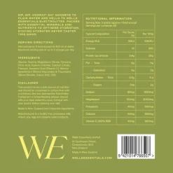 Welle Essentials Electrolytes - Pineapple Lime