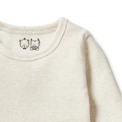 Wilson & Frenchy Organic Stripe Rib Long Sleeve Top