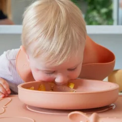 Zazi Clever Plate with Lid